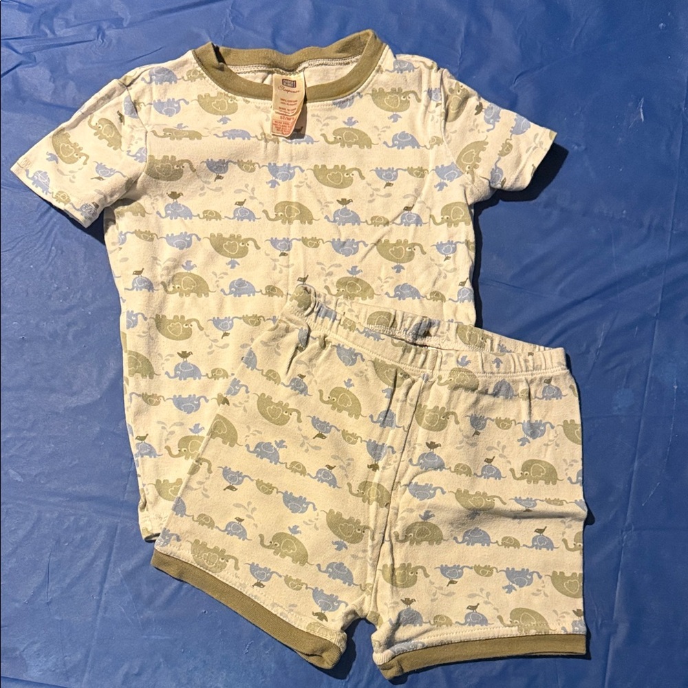 Faded Glory Kids Dinosaur Pajama Set - Blue and Green